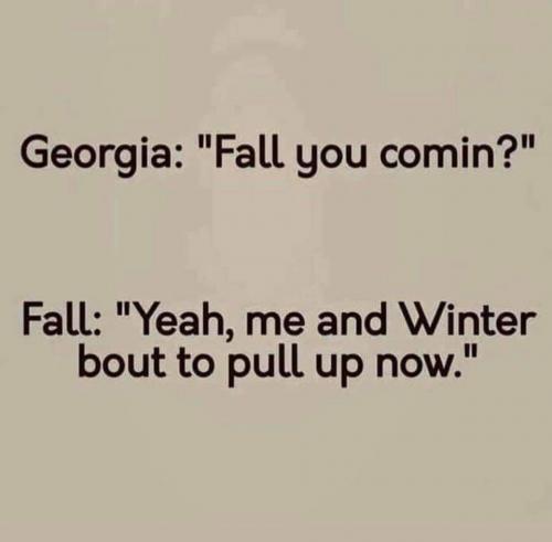 FB_IMG_1666122031489