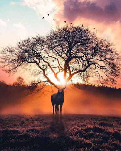 eb0274c1-c985-4175-b1d0-af26f2a56b8c