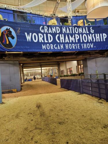 Resized_20221007_104225