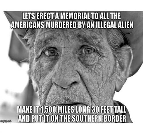 Border wall - Make it a memorial to Americans killed by aliens