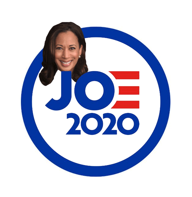 joe & kamala 2020