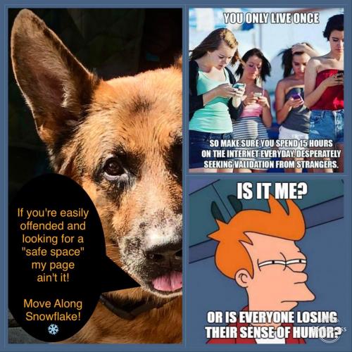 686B5A8A-C1CB-42C4-9D17-EA1DC4154B4C