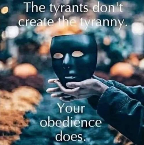 313248289_444106591169228_3448663791990416223_n