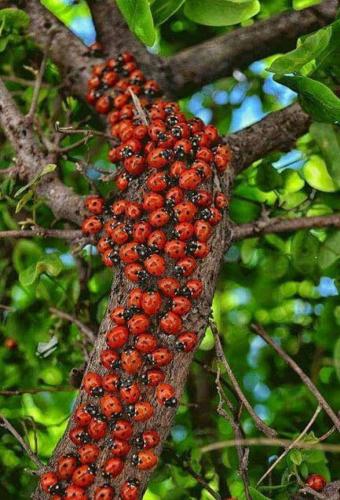 1297016b-ddc4-4cae-bf20-d506c0b4c733