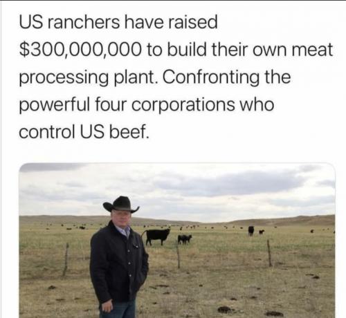 ranchers building plant