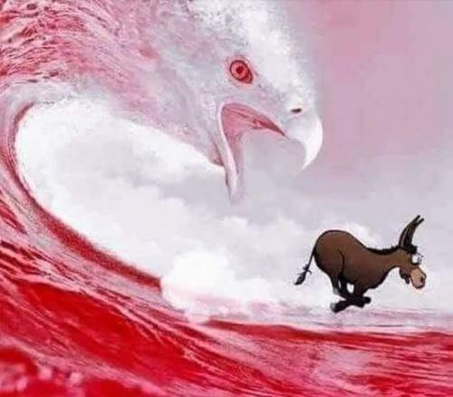 RED wave 01