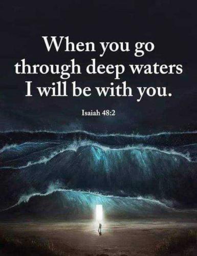 409b3b5e-1d04-43d8-ba88-d45b309832fb