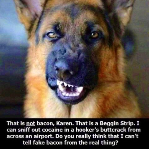 A6D28D4E-9D93-4C80-863D-D5EF7861B49B