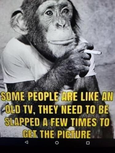 f3e9c6d89818c3f4