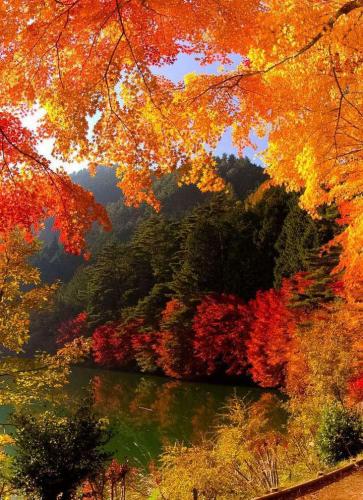 e7095fc9-30c2-4068-801d-b7578e098c62