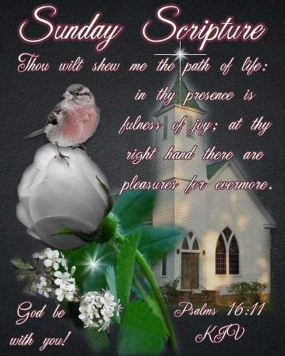 e139059a-a7e6-4c95-a6ed-8f2a3c3437db