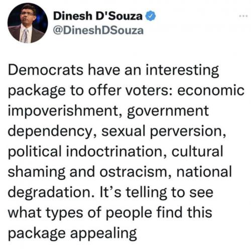 Dem platform