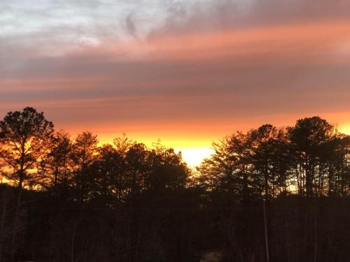 21A8787D-DEBF-4DBB-9A29-B0C20316FB7A