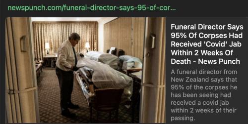 dead in 2 weeks 02