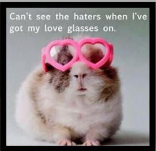 8890848c-7c84-4b6f-96d6-03caf6adb1e6