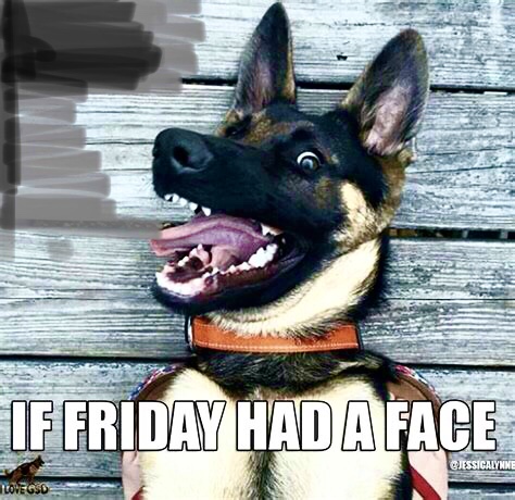 9F47A3B7-6C27-4BCC-8BD0-B00D885D2E72