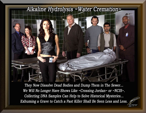 Alkaline Hydrolysis ~Water Cremation~