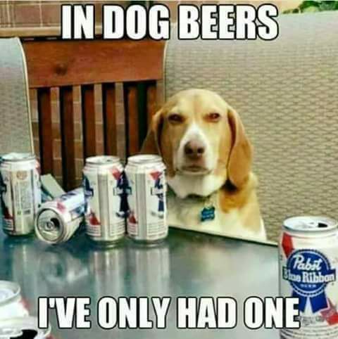 Beer - Dog beers...