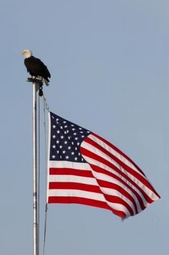 Flag - With eagle on top