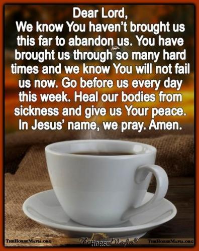 102422 - Will not abandon