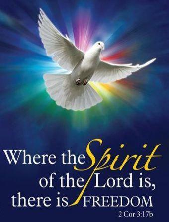 8923dcd8-a3f5-4fb4-865c-dd0f55845ecc