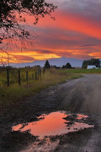 2d7a8b18-c2bb-4d84-80d2-151536464368