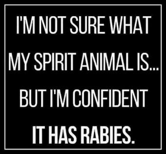 rabid-spirit-animal