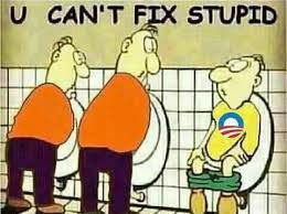 You can't fix stupid