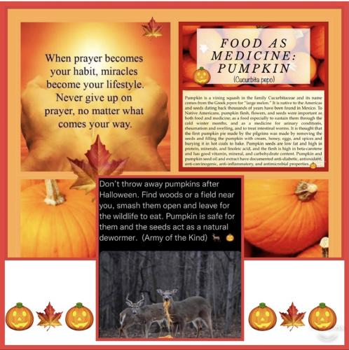 29A5AFD9-E541-4F27-A45C-98140197A44E