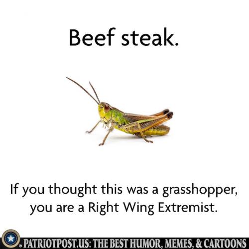 01GEMHJ34YPJK2S5Q3PTTRGR2D