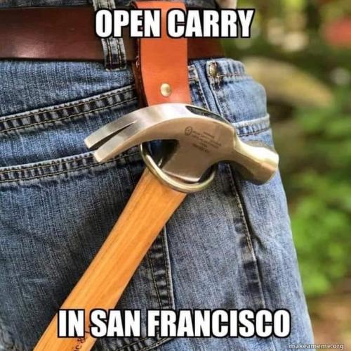 = OPEN CARRY PERMIT