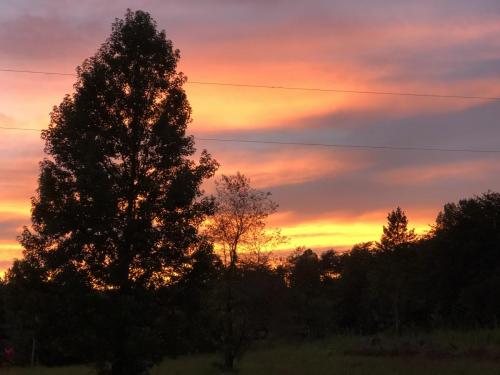 FDFAF76E-A076-4C06-A08C-675F12235806