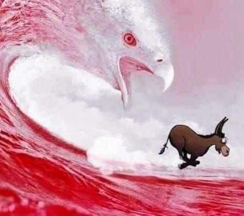 331a5bfe-df8d-4429-bc9c-1e81fbf3bda1