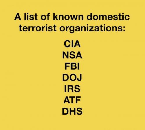 M domestic terrorists