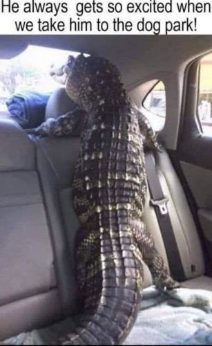 809af311-46ac-4714-b2ac-fda556b38708