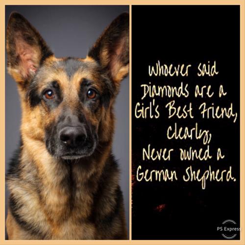 707F3658-36E6-49B0-8343-70484AEECE28