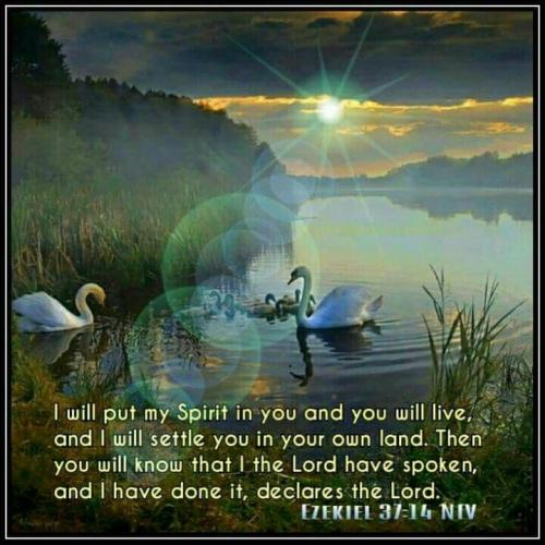 021c32b4-aeae-401d-88aa-b13b61c50d6f