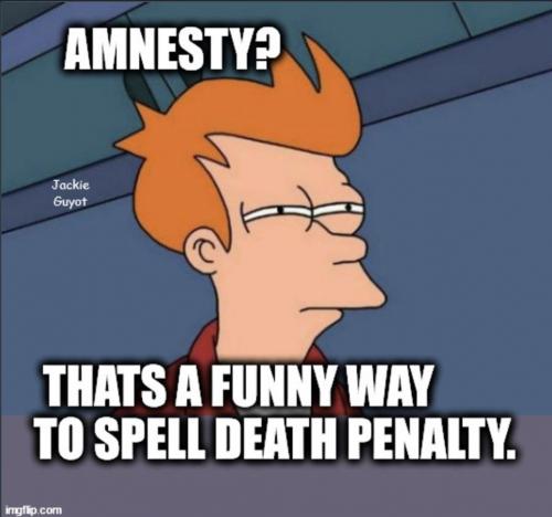 Amnesty spelling