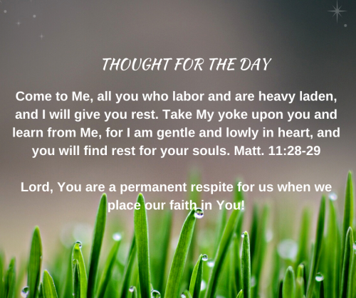 TWEET 11-11-22