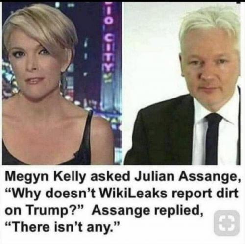 Julian Assange Trump