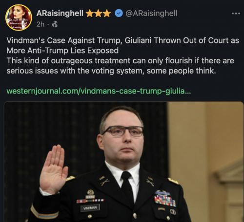 Vindman case out