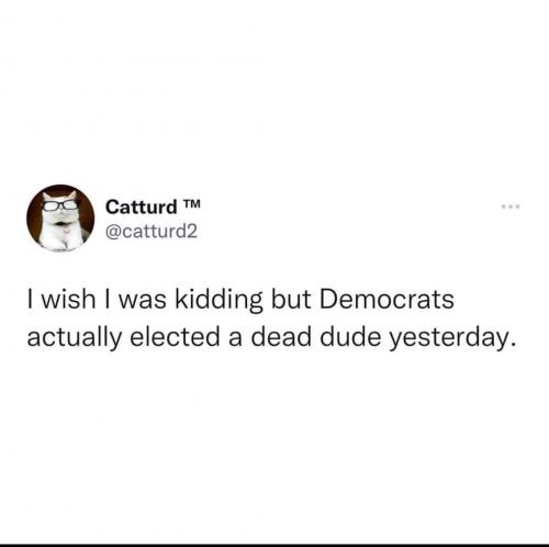 FB_IMG_1668029848906