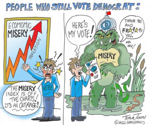 IdiotsVotingForMoreMisery