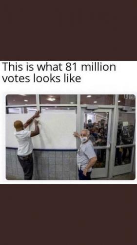 ThisIsWhat81MillionLiberalVotesLookLike