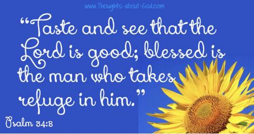 b618883d-cebb-4455-9f93-d81491a8605c