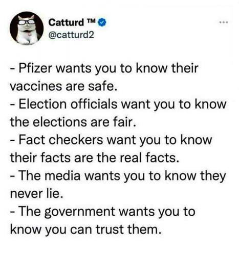 USA catturd2 safe