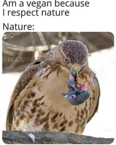 Nature