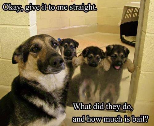 F674F759-BE34-4F24-B0E9-A2CB34BC2833