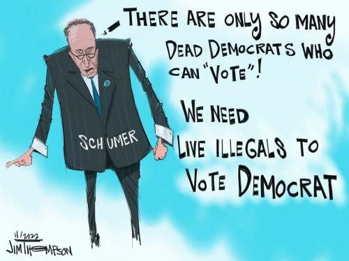 Schumer-votes