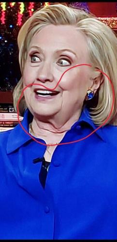 da385fb0-37da-46d8-9ea0-038dadd937d7